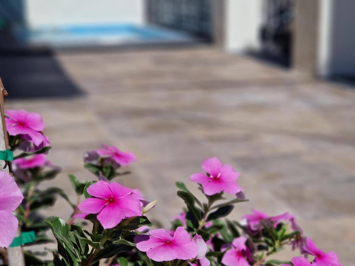 Del Parque Flats Balneario De Pina Villa Málaga Kültér fotó